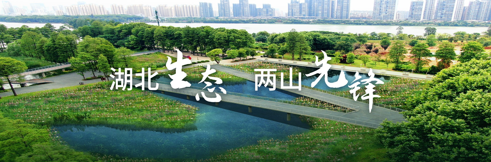 98堂论坛-追求康健,你我一起生长