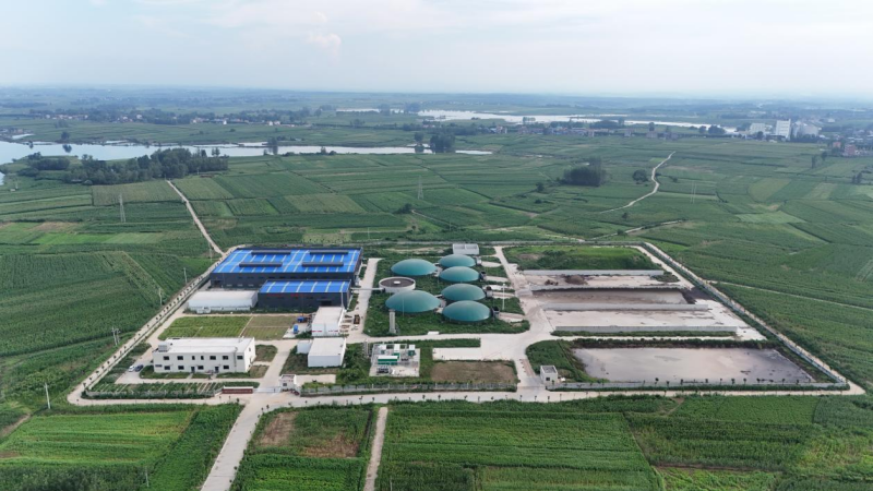 98堂论坛-追求康健,你我一起生长